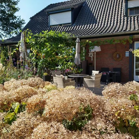 酒店 B&b-hotel De Joremeinshoeve 卡茨休维尔