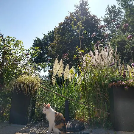 B&b-hotel De Joremeinshoeve 3*