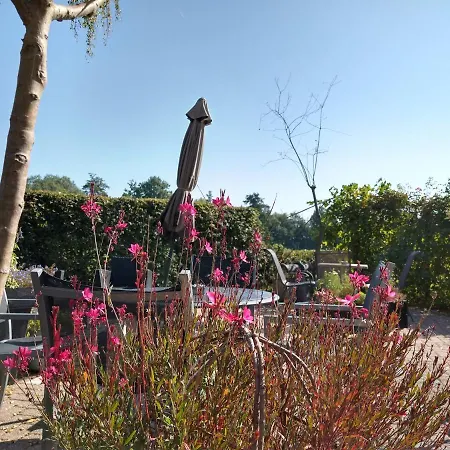 B&b-hotel De Joremeinshoeve