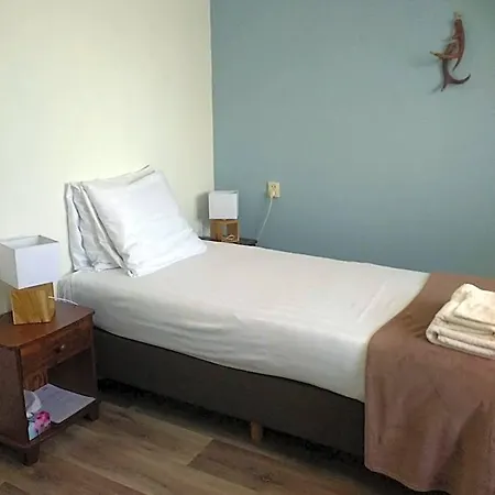 酒店 B&b-hotel De Joremeinshoeve 3*