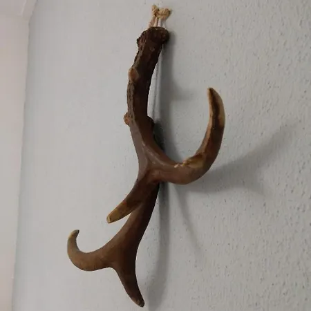 B&b-hotel De Joremeinshoeve Kaatsheuvel