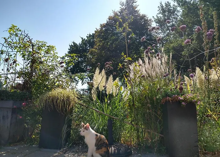 B&b-hotel De Joremeinshoeve 3*