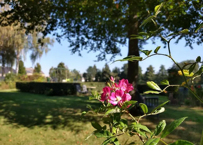 B&b-hotel De Joremeinshoeve 3*