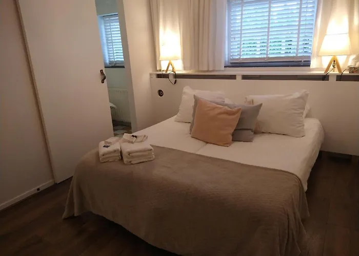 酒店 B&b-hotel De Joremeinshoeve 3*