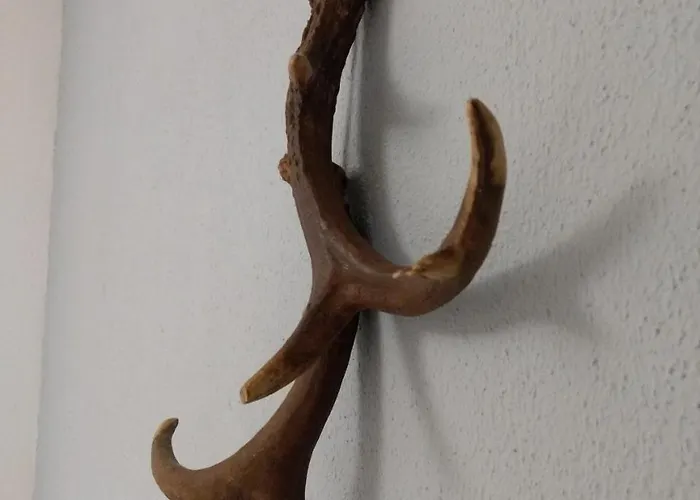 B&b-hotel De Joremeinshoeve 카슈벨